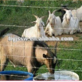 high tensile sheep fence